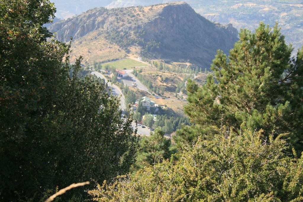 La Alacena De Jose Y Rosi *